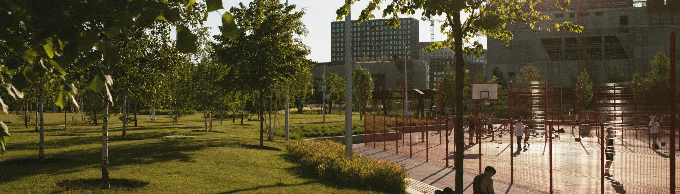 Designing Green Spaces in Hospitals: How Gardens Can Improve Patient Wellbeing